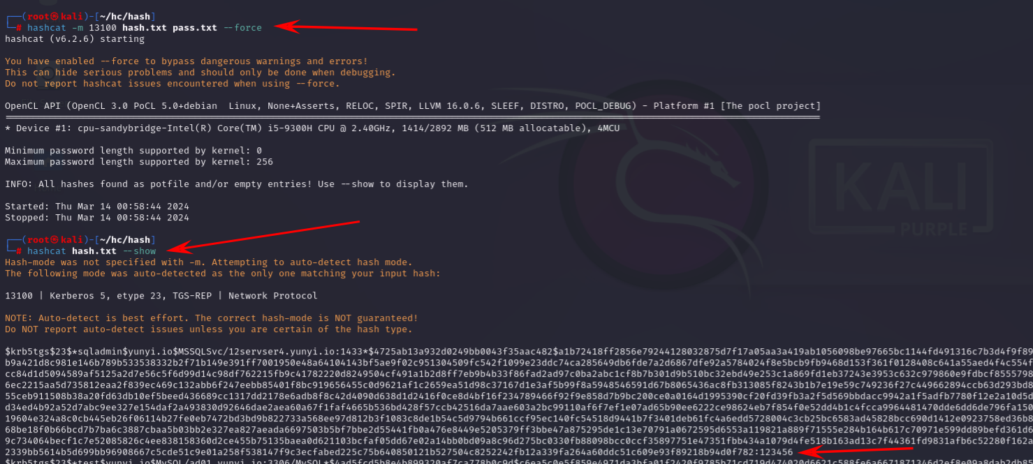 image-20240314130022282