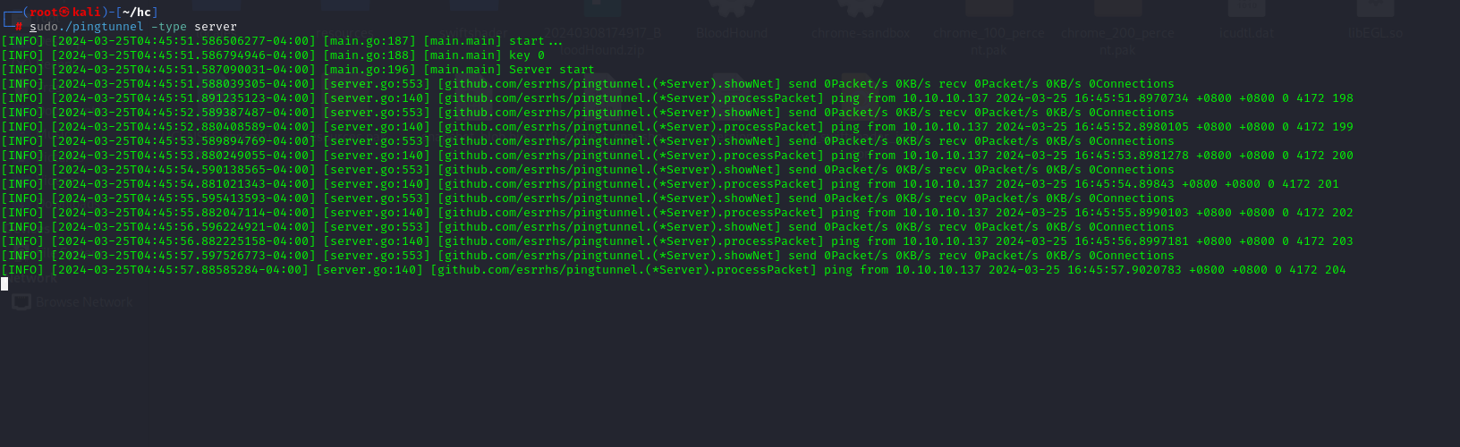 image-20240325164605444