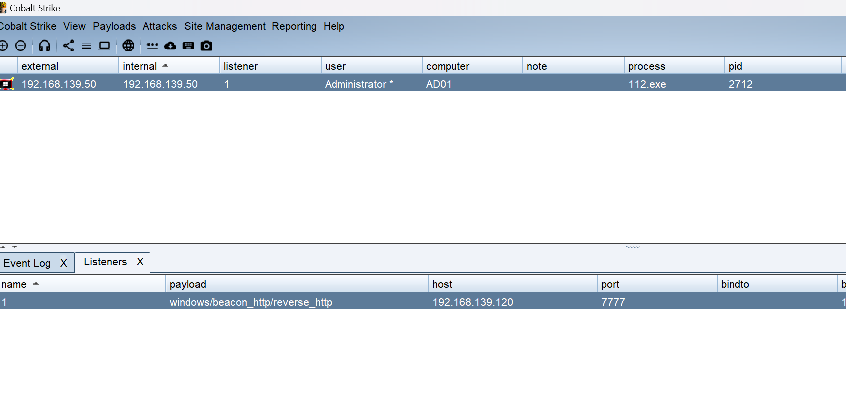 image-20240402132210710