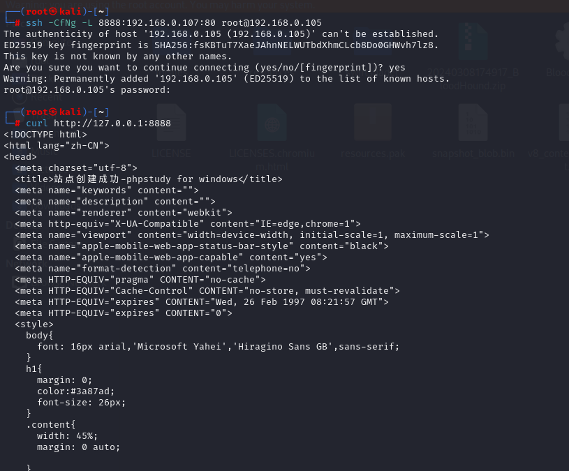 image-20240501181131671