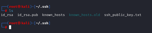 image-20240509104959832