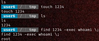 image-20240207132333459