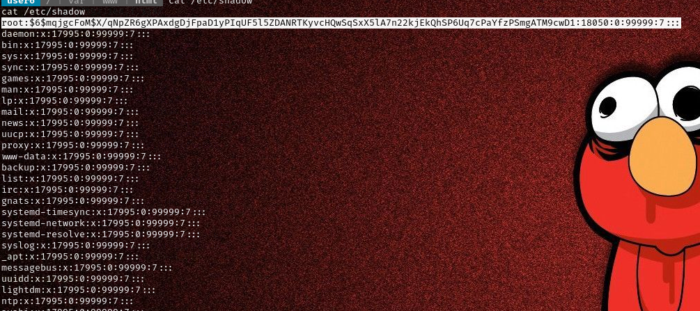 image-20240221213918116