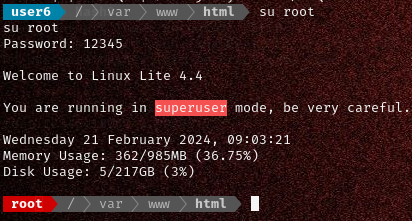 image-20240221220330572